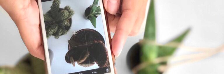 DELESLEYOUS's profile banner image