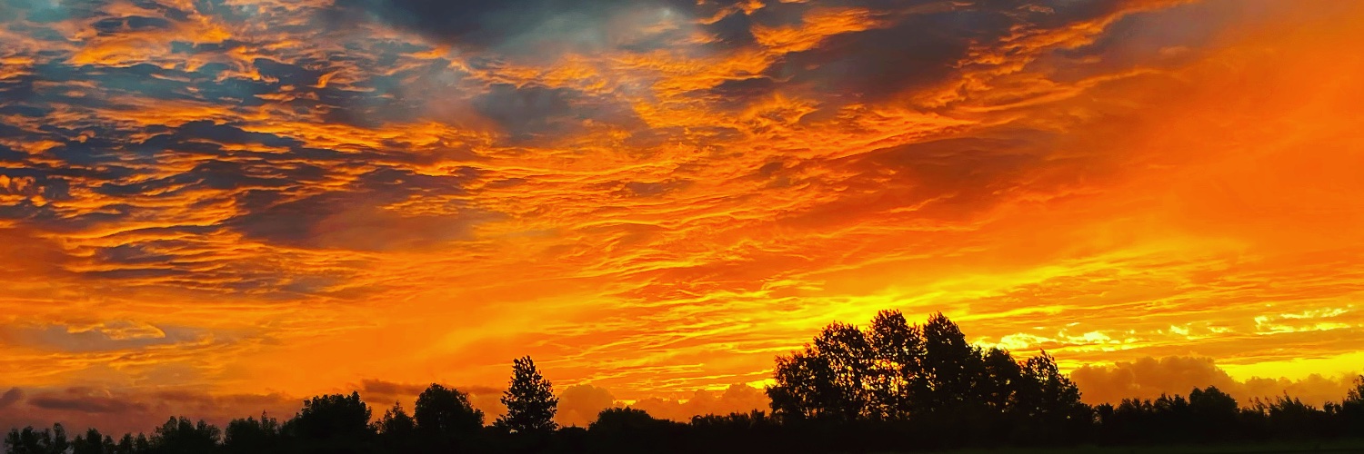 AucklandExpat banner