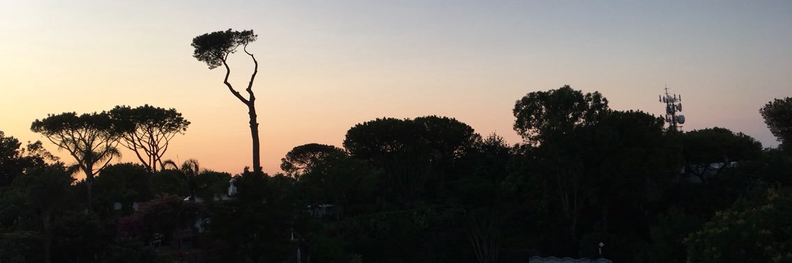 Foolforsvt's profile banner image