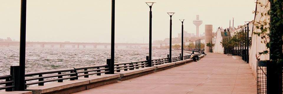 roypurohit's profile banner image