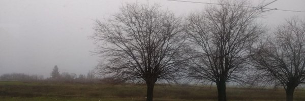 lexoyo Profile Banner