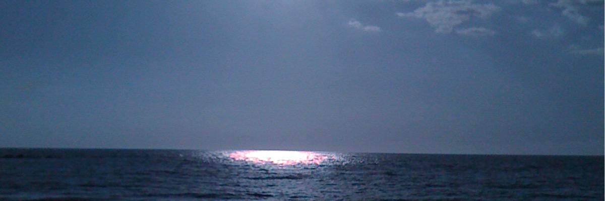 ronswanson's profile banner image