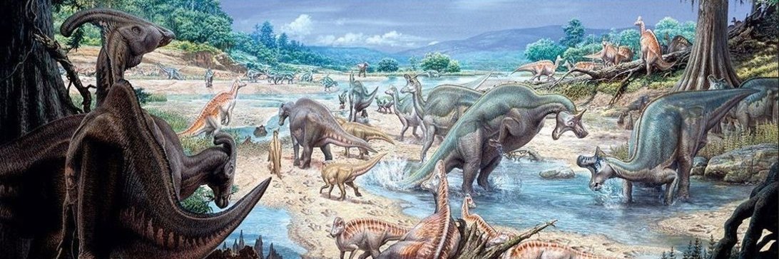 Eithan Markov banner