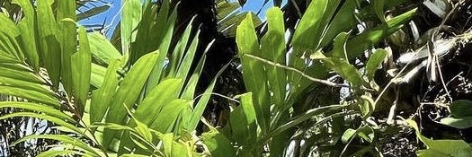 ❤️‍🩹 banner