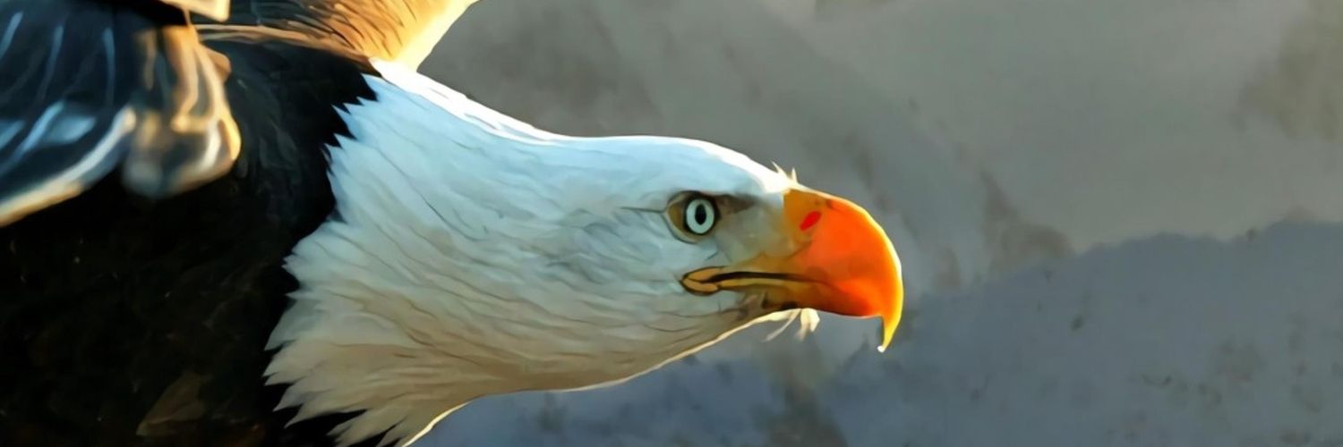 DacuteK's profile banner image