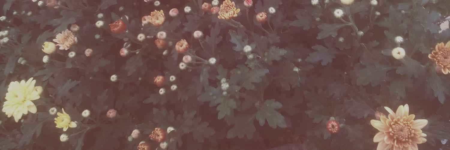 Msyt_'s profile banner image