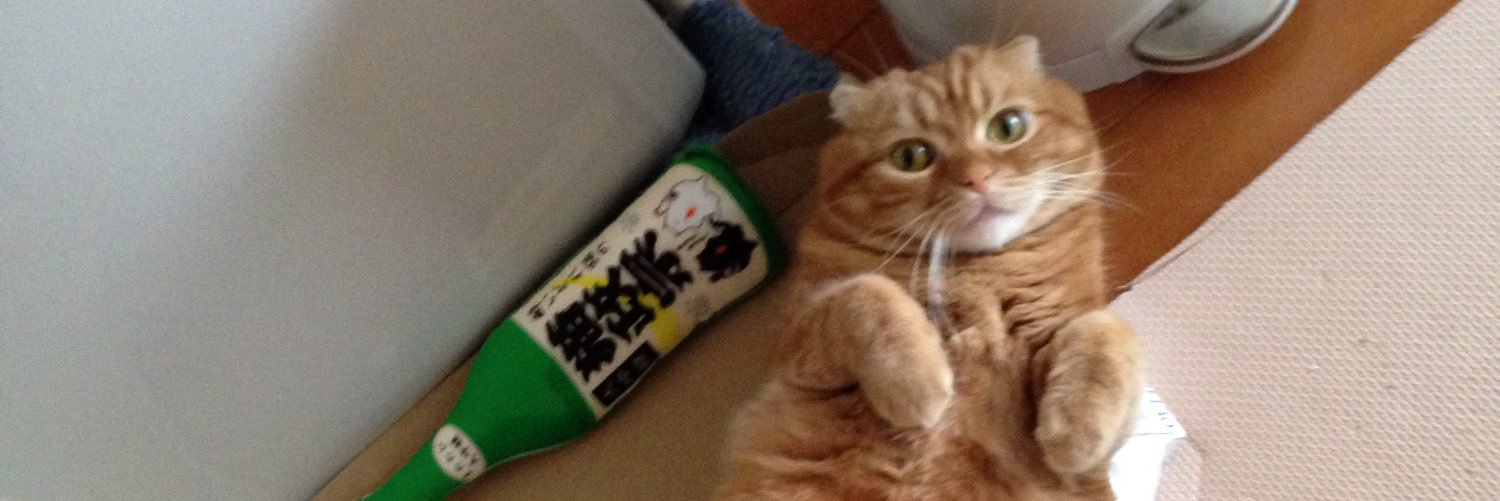 猫千代 banner