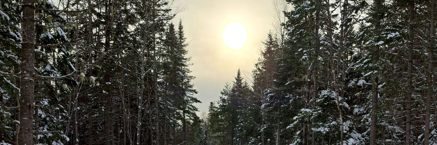 Caleb Weare banner
