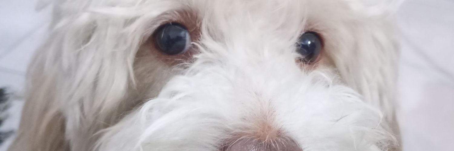 sandra3026's profile banner image
