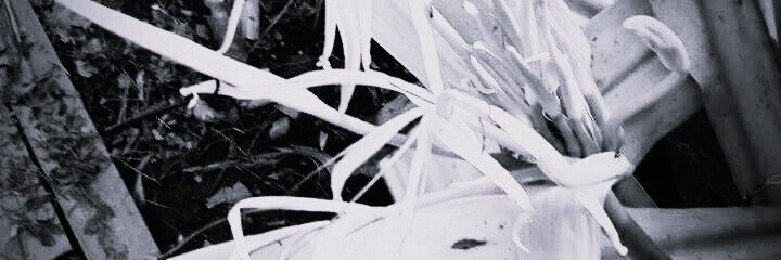 thikron382's profile banner image