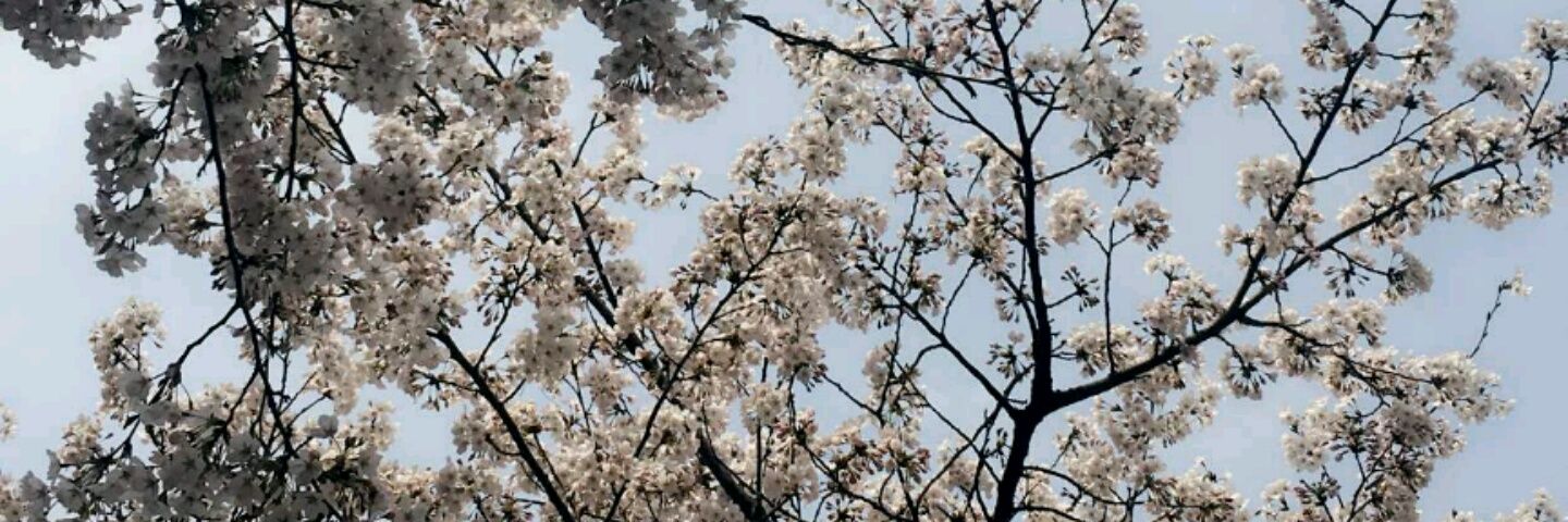 Renad__75's profile banner image