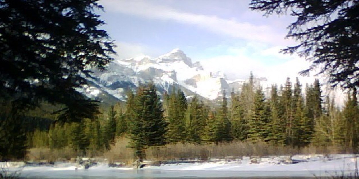 Marty McKeever banner