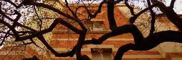 MichaelLipscom2's profile banner image
