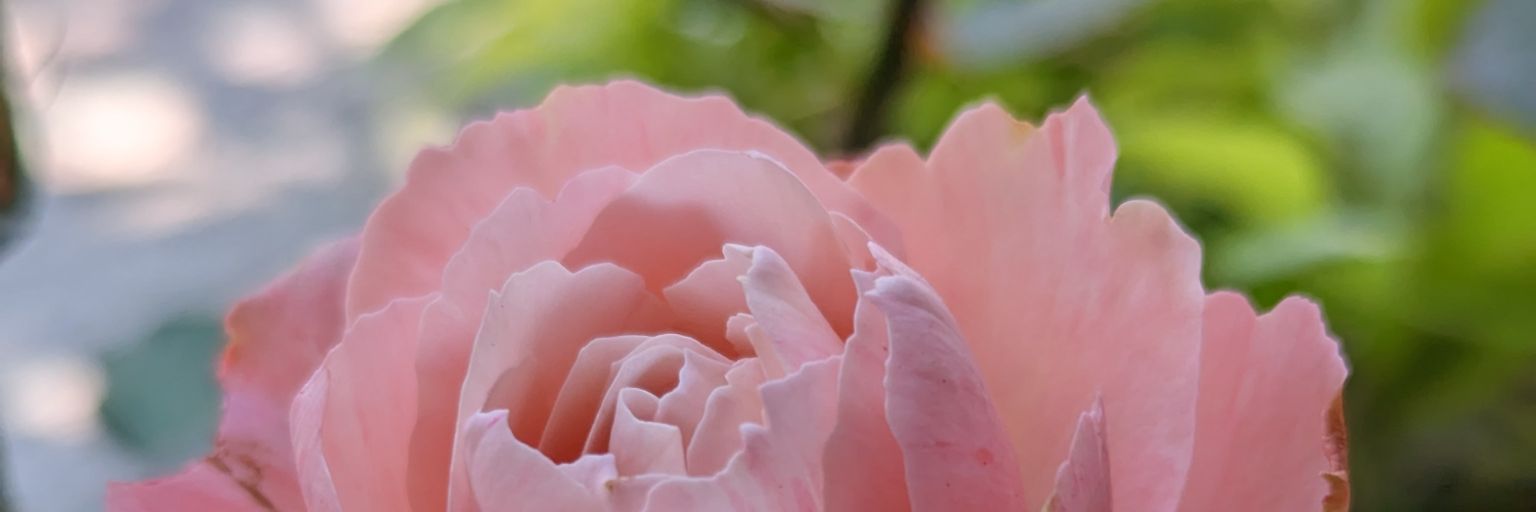ALBAMEN12's profile banner image
