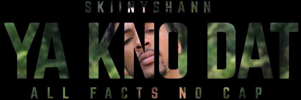 SkiinyShann's profile banner image