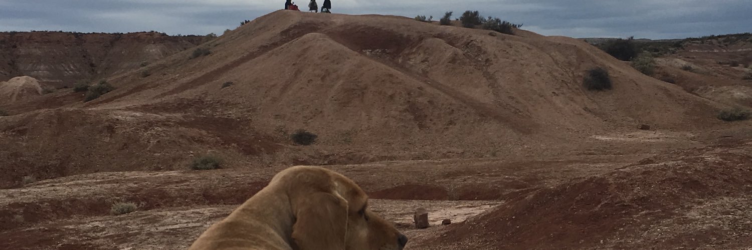 floorrsoto's profile banner image