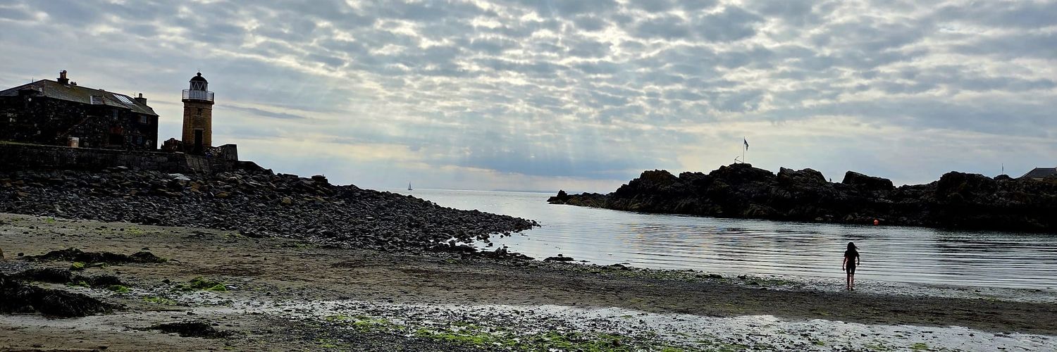 Not another Dave banner