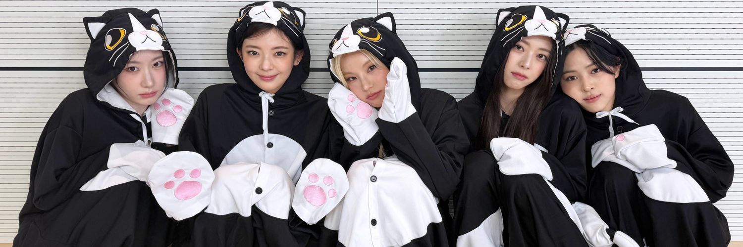 ≷ cold softie 🍞| aewol 🚇🐜 banner