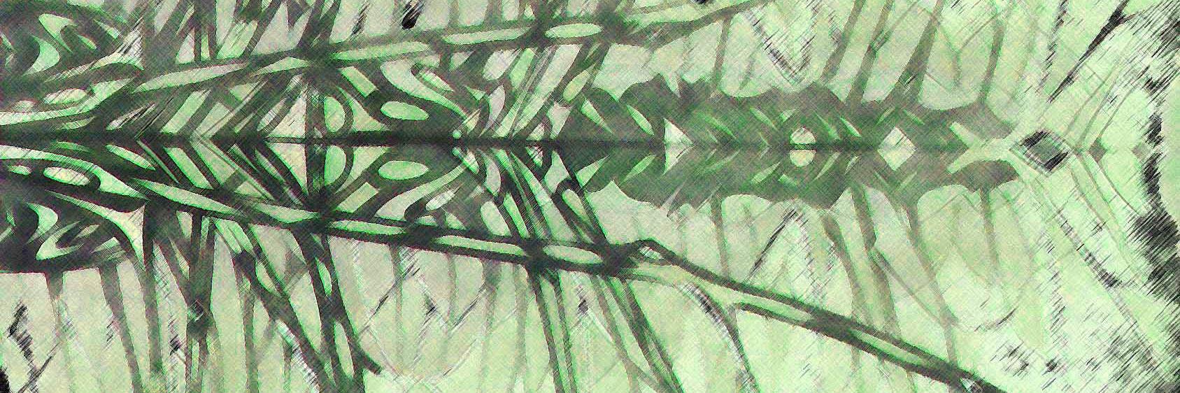Hug2All's profile banner image