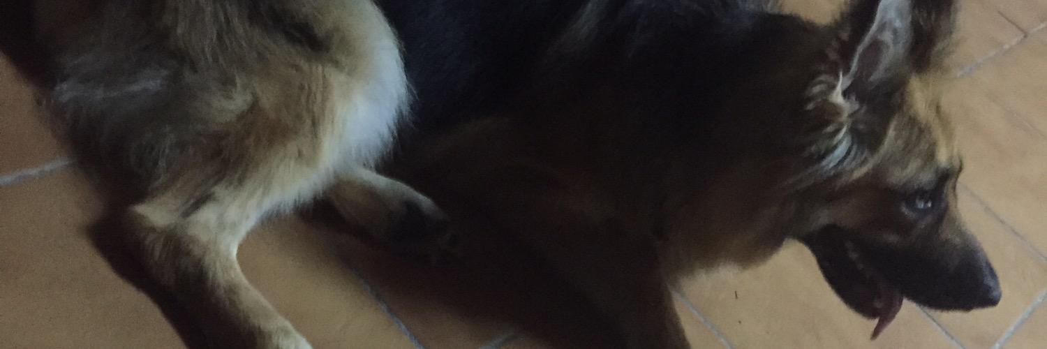 VicV_'s profile banner image