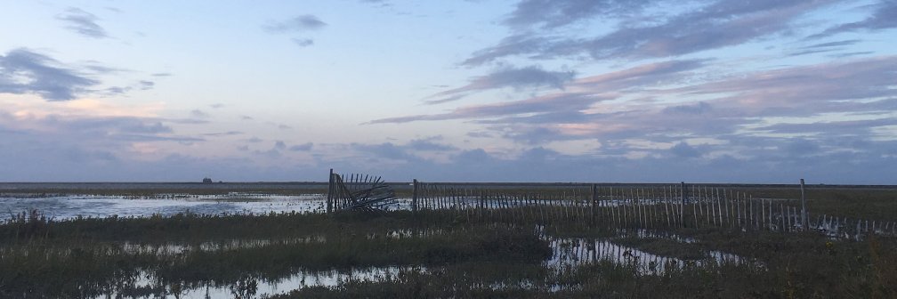 Schorty1's profile banner image
