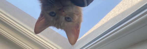 zekienough Profile Banner