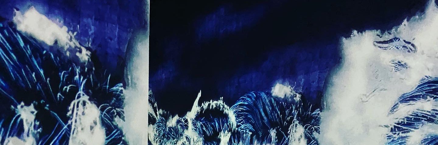북극곰 banner