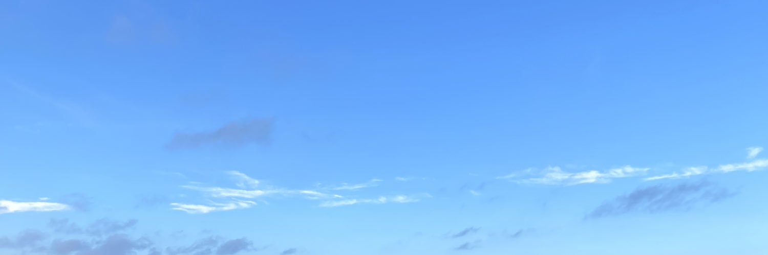 sheismarisaj's profile banner image