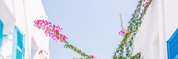 mjrodezno's profile banner image
