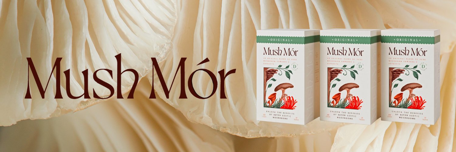 mush_mor's profile banner image