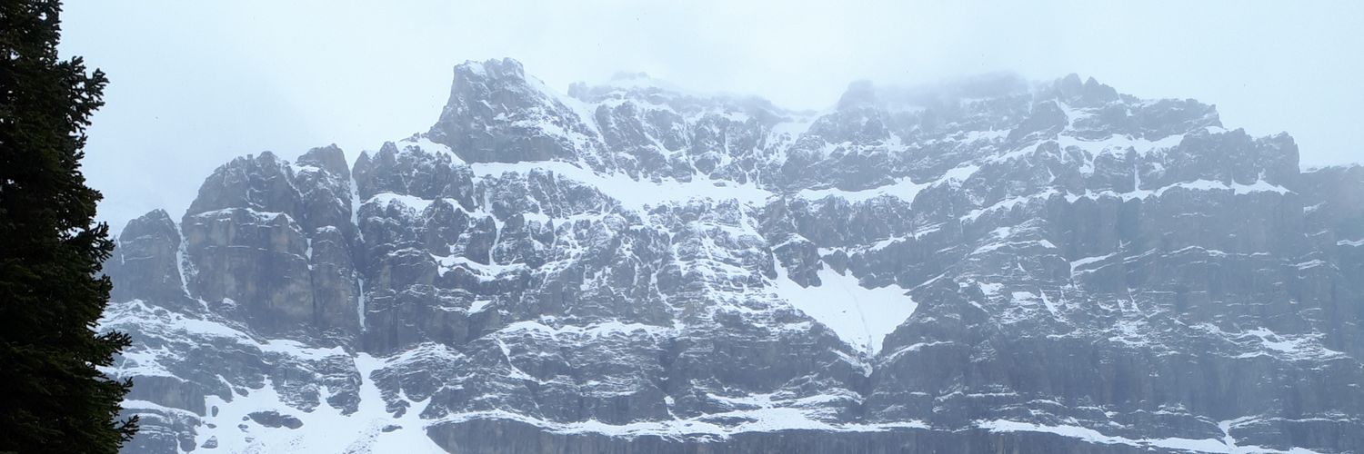 Oaks_22's profile banner image