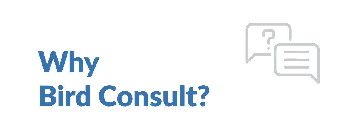 Bird Consult 🇰🇪 banner