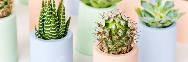 shintakinasis's profile banner image