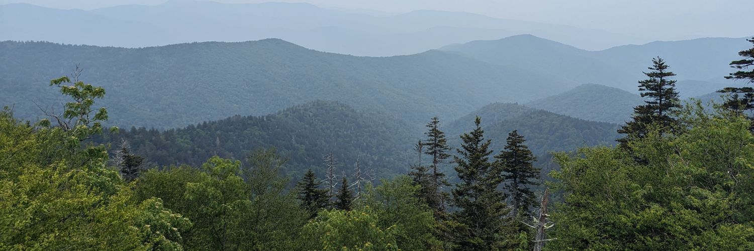 Mayor of Ancappalachia banner