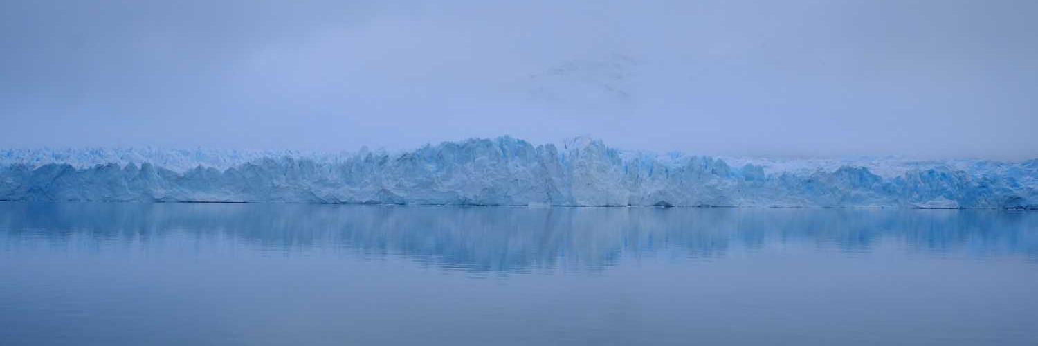 Levi Vigil❤️ Memecoin banner