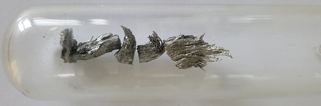 4f_for_future banner