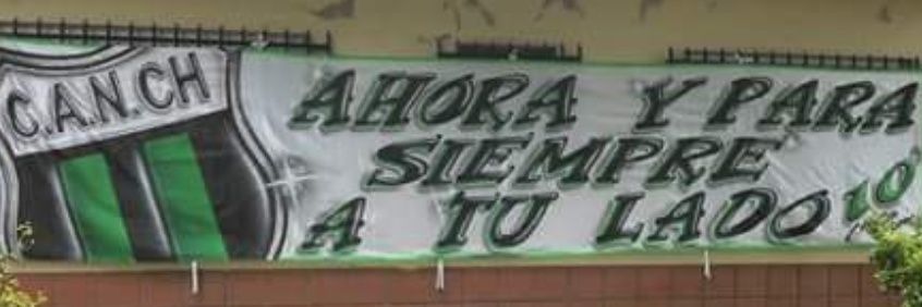 macarena graneros banner