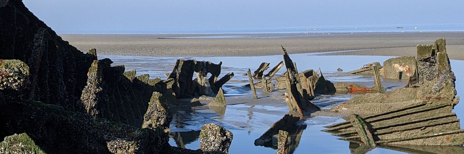 DavidVande's profile banner image