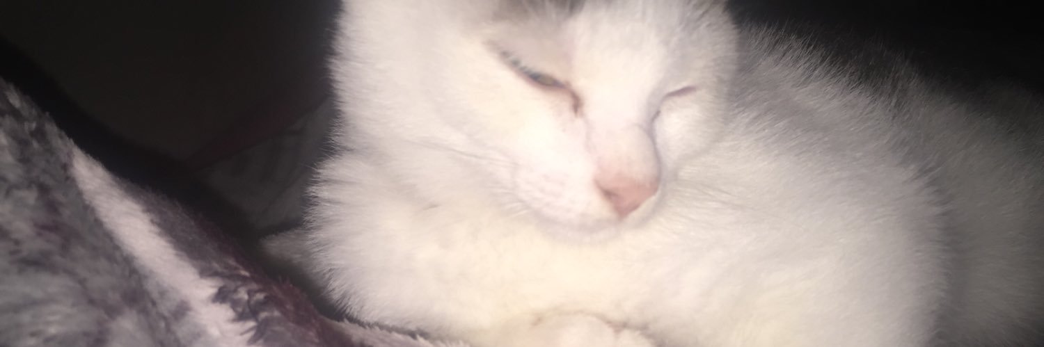 ErynBuncitt's profile banner image