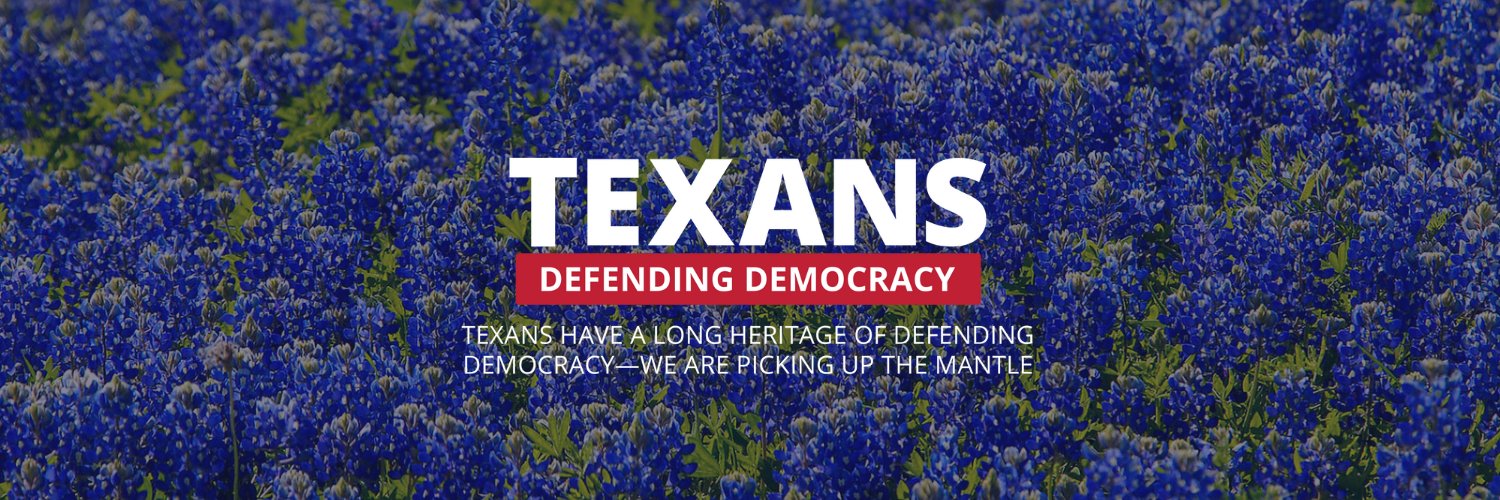 Texans Defending Democracy's banner