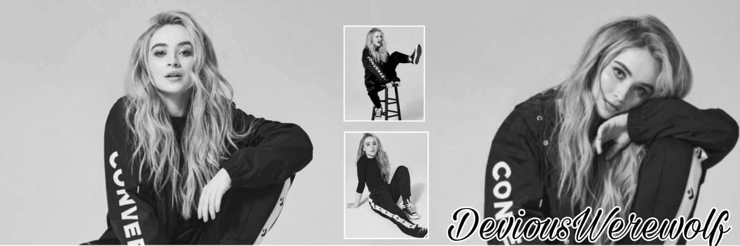 DeviousWerewolf's profile banner image