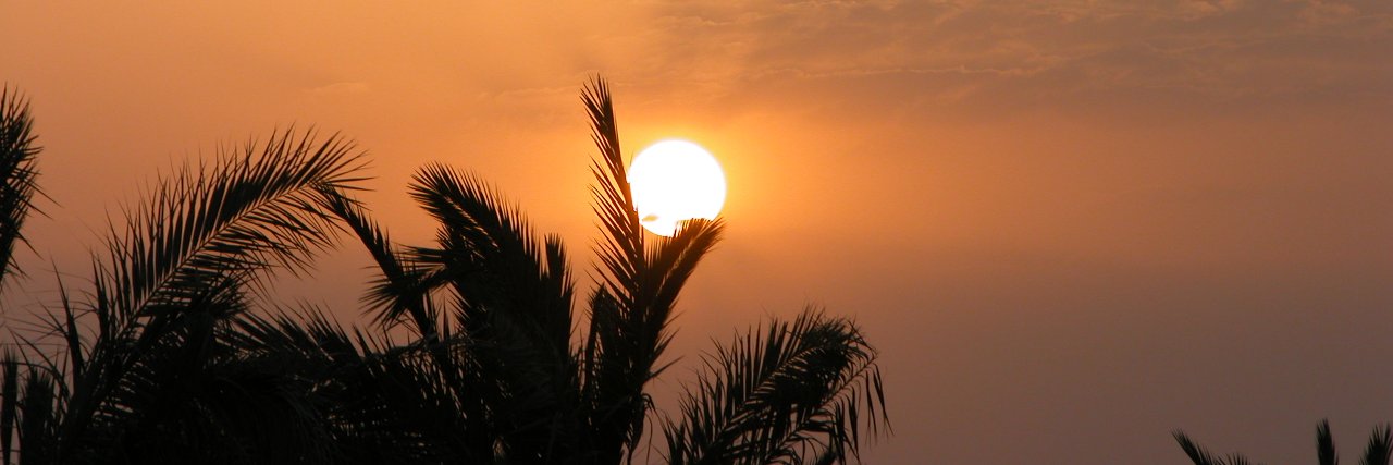 mdawood's profile banner image