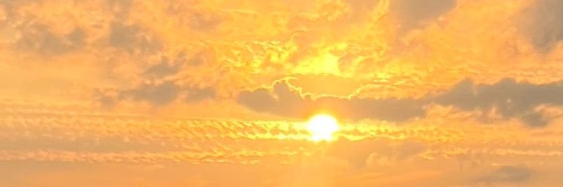 🐼 banner