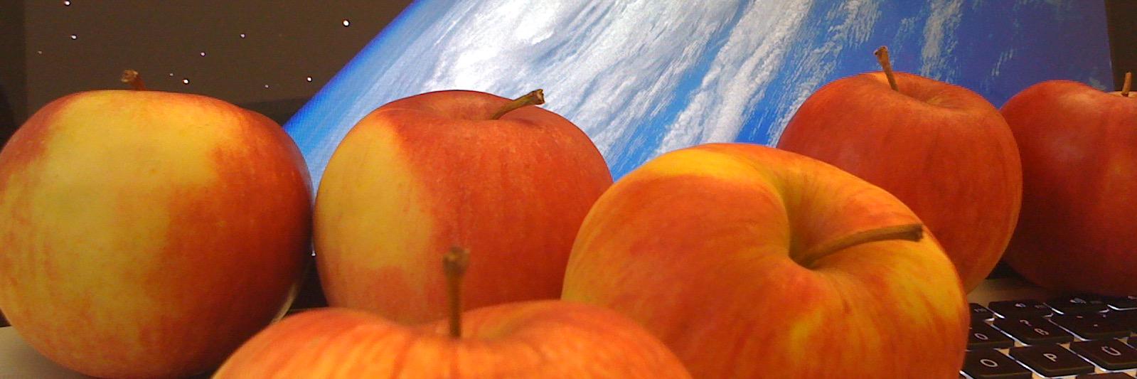 Webdirektor's profile banner image