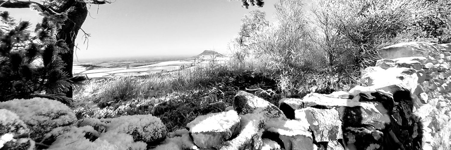 Richard06854232's profile banner image
