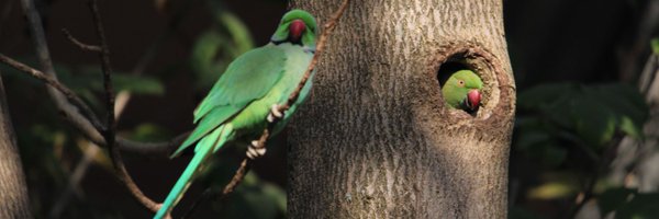 Chetan_Gowda18 Profile Banner