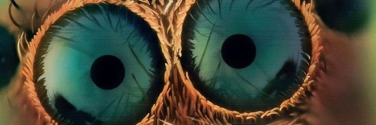70nannerboat's profile banner image