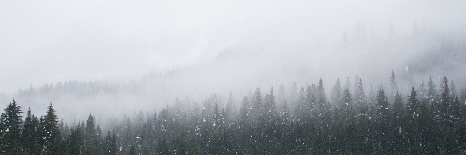 kevinwidgo's profile banner image