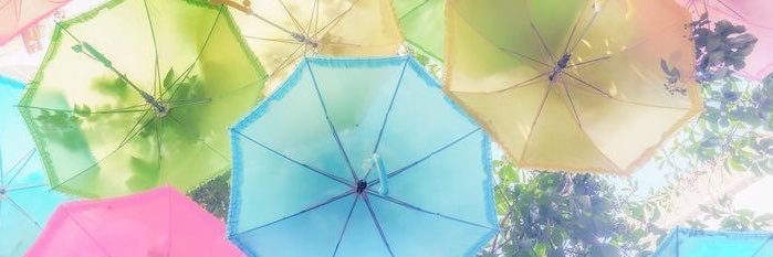 sealmiel's profile banner image