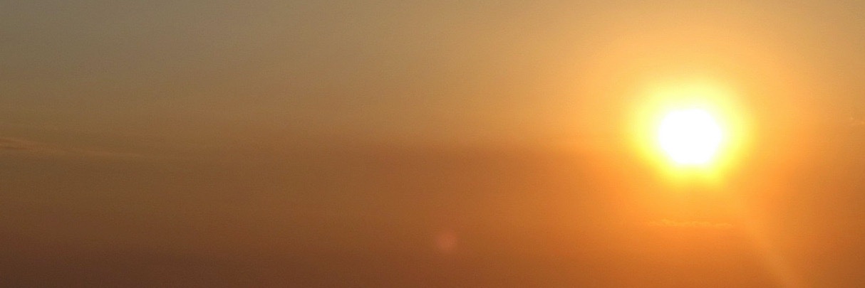 BeeDee 💜🤍💚 banner